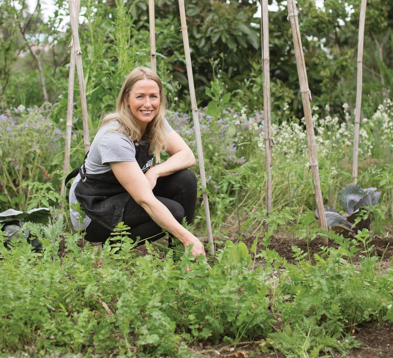 GoodBugs - Our Kimchi Grower